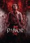 panor-2-2026